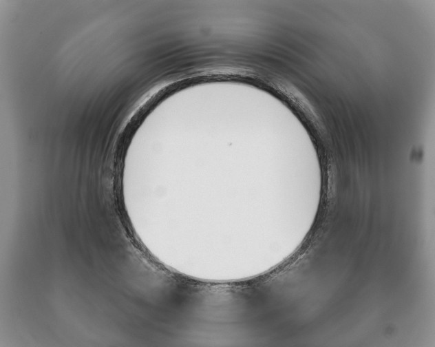 X0000091060828200708060958
