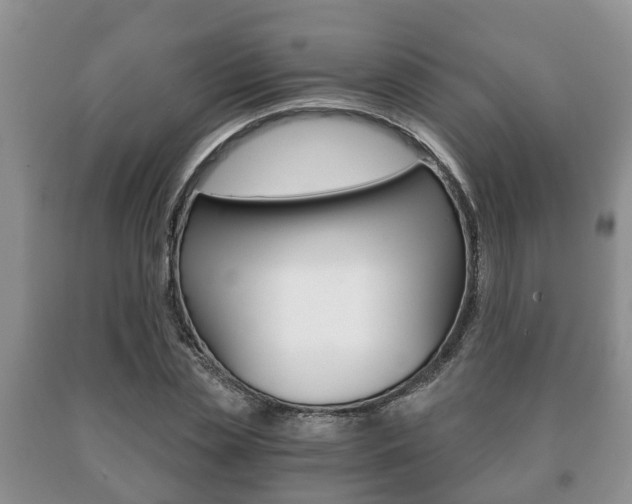 X0000091060829200708060958