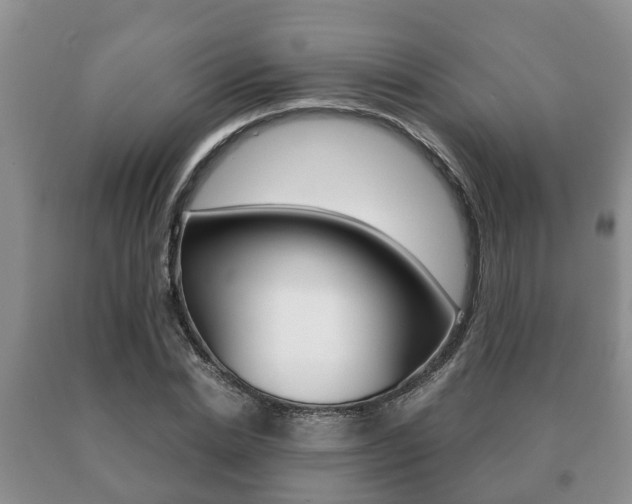 X0000091060830200708060958