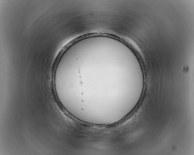 X0000091060831200708060958