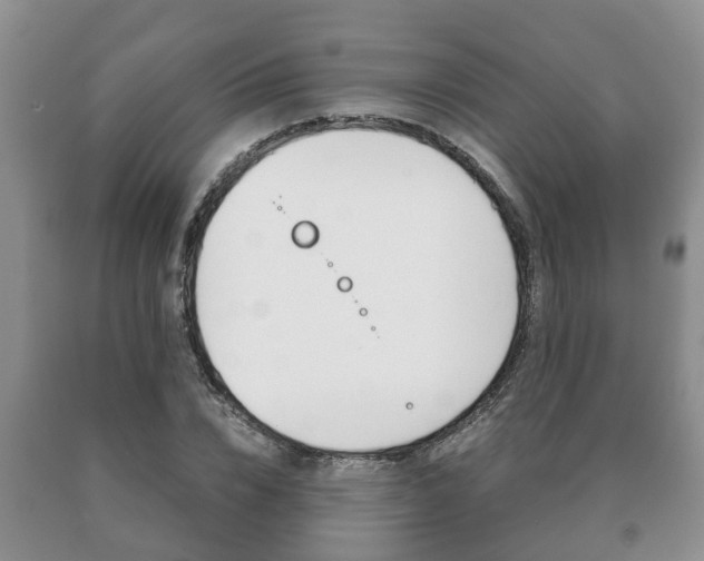 X0000091060832200708060958