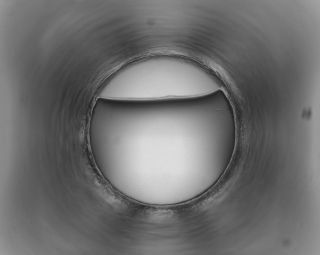 X0000091060833200708060958