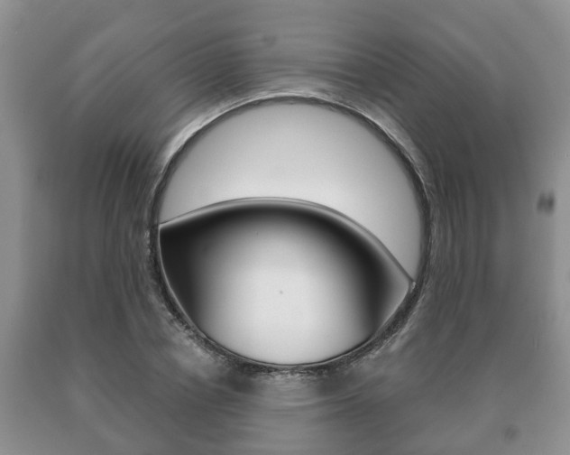 X0000091060834200708060958