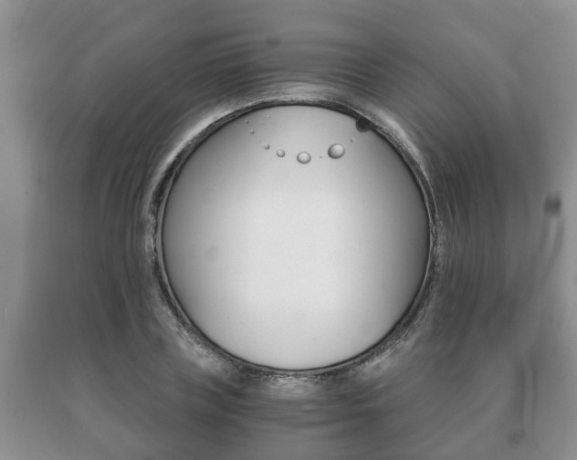 X0000091060835200708060958