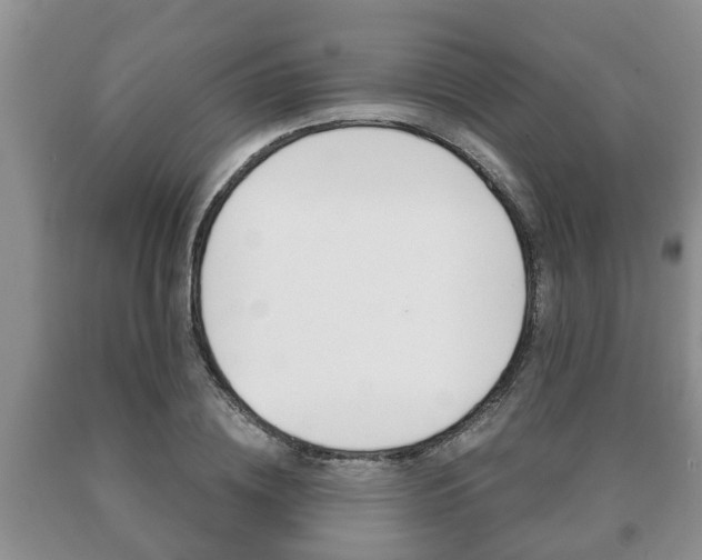 X0000091060836200708060958