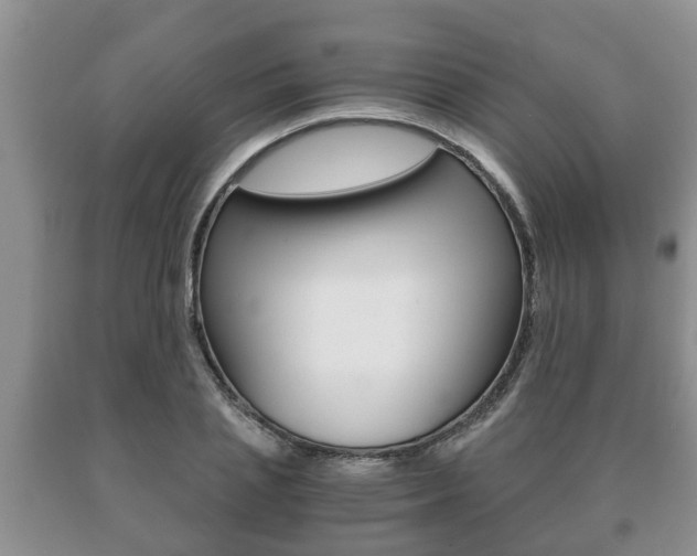 X0000091060837200708060958