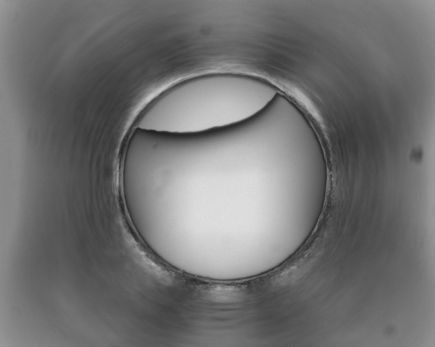X0000091060839200708060958