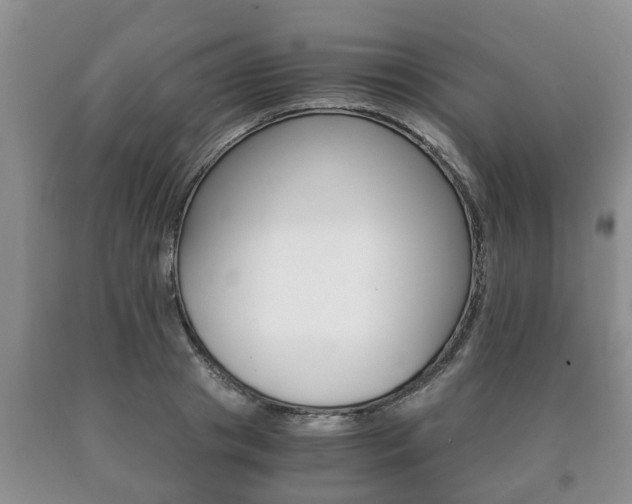 X0000091060841200708060958
