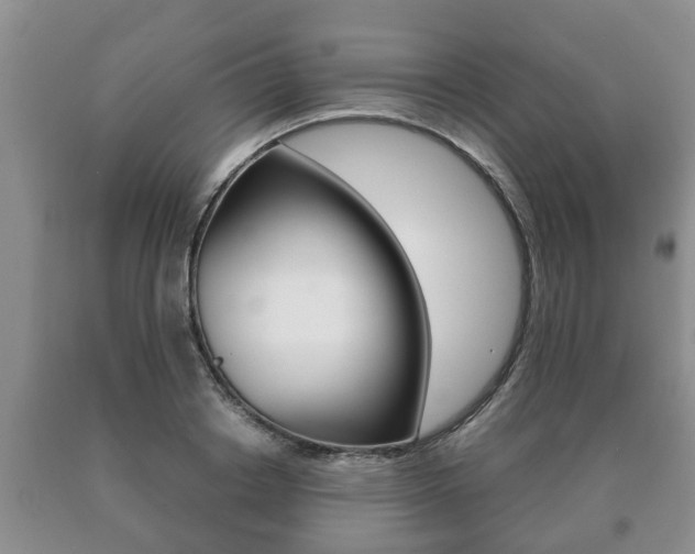 X0000091060842200708060958