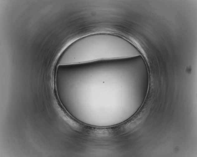 X0000091060843200708060958