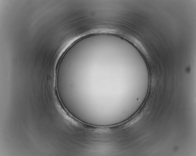 X0000091060844200708060958