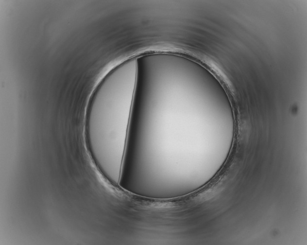 X0000091060845200708060958