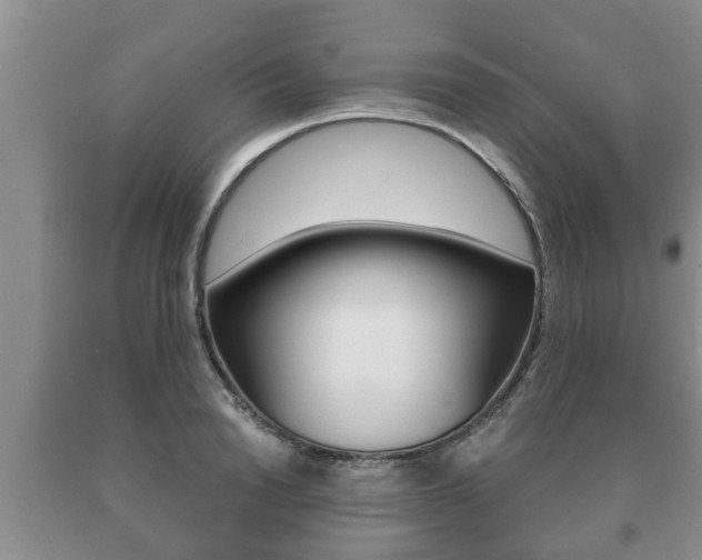 X0000091060846200708060958