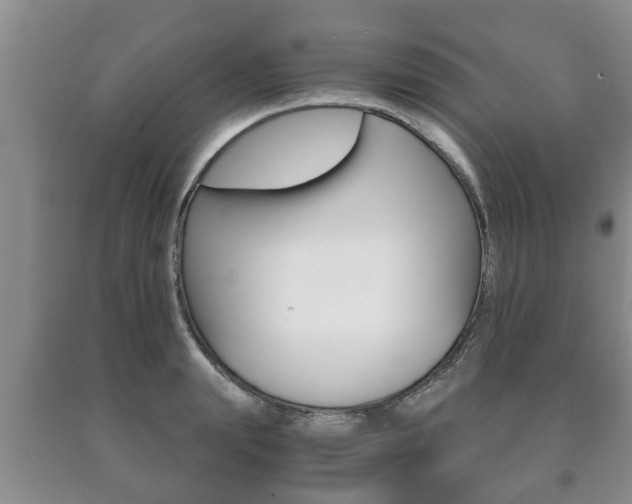 X0000091060847200708060958