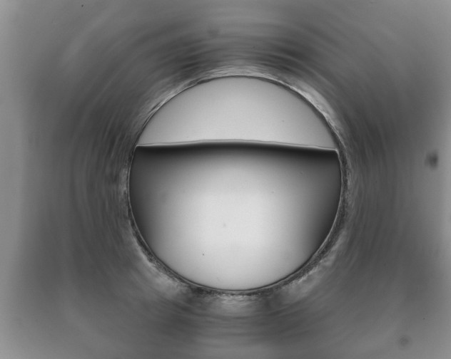X0000091060849200708060958