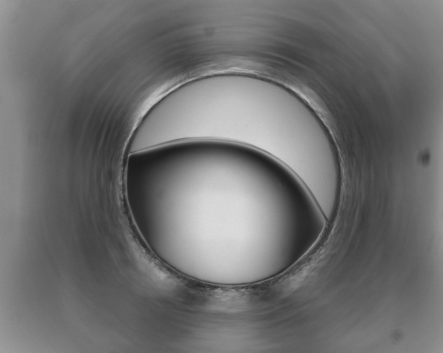 X0000091060850200708060958