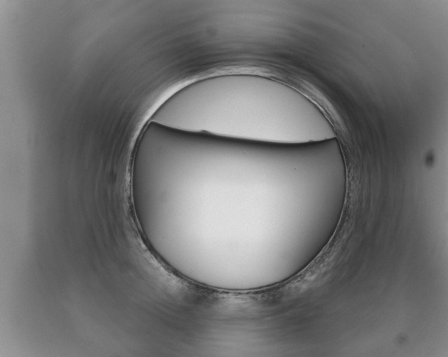 X0000091060852200708060958