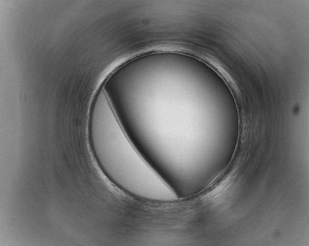 X0000091060853200708060958