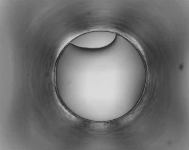 X0000091060855200708060958