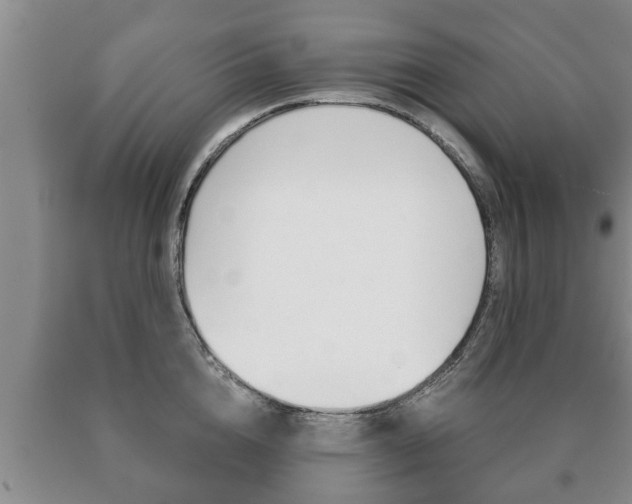 X0000091060856200708060958