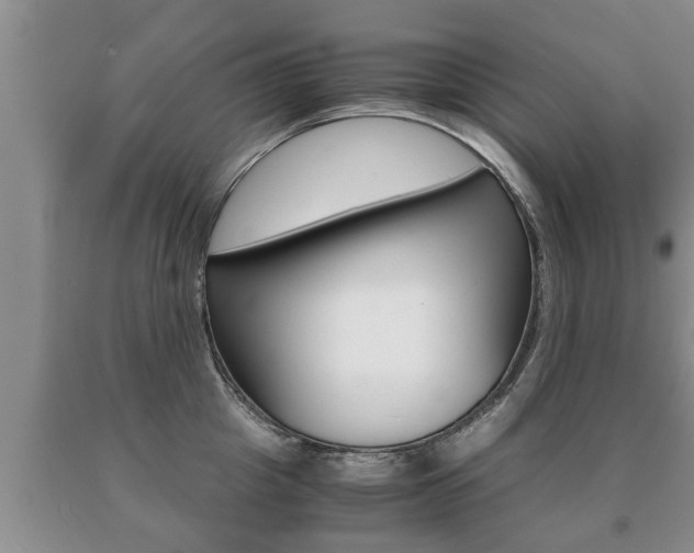 X0000091060857200708060958