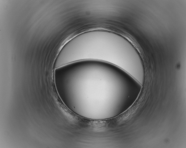 X0000091060858200708060958