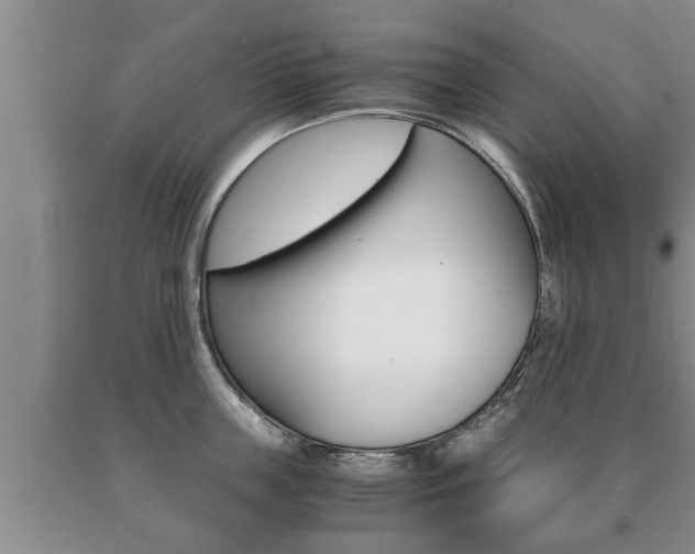 X0000091060859200708060958