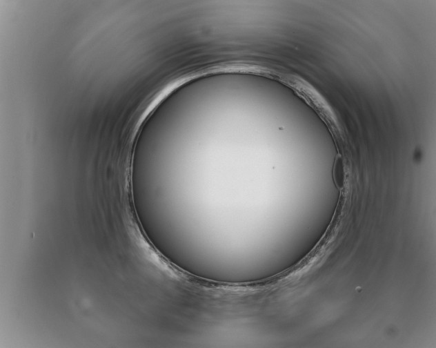 X0000091060860200708060958