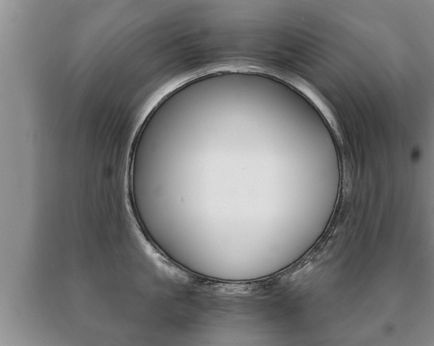 X0000091060861200708060958