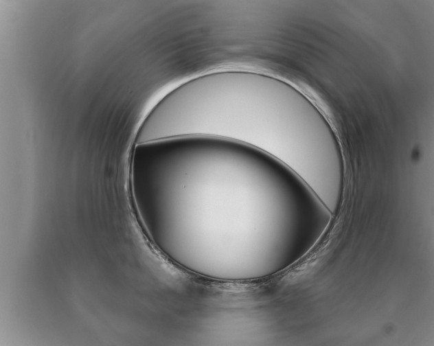 X0000091060862200708060958