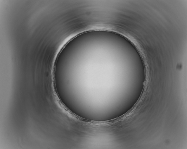 X0000091060864200708060958