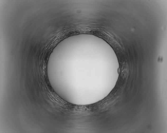 X0000091060866200708060957
