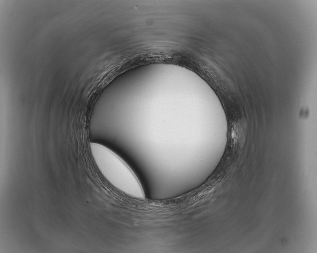 X0000091060867200708060957