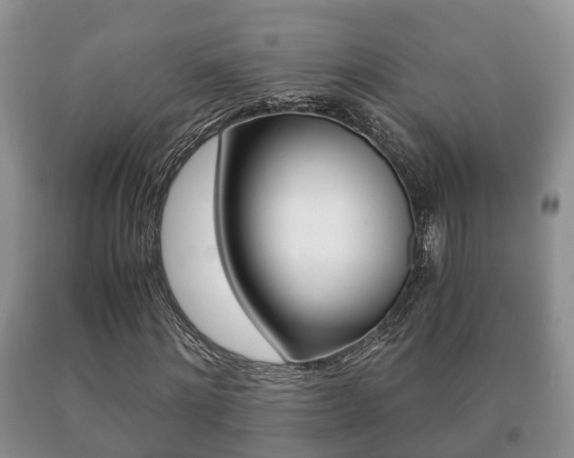 X0000091060868200708060957