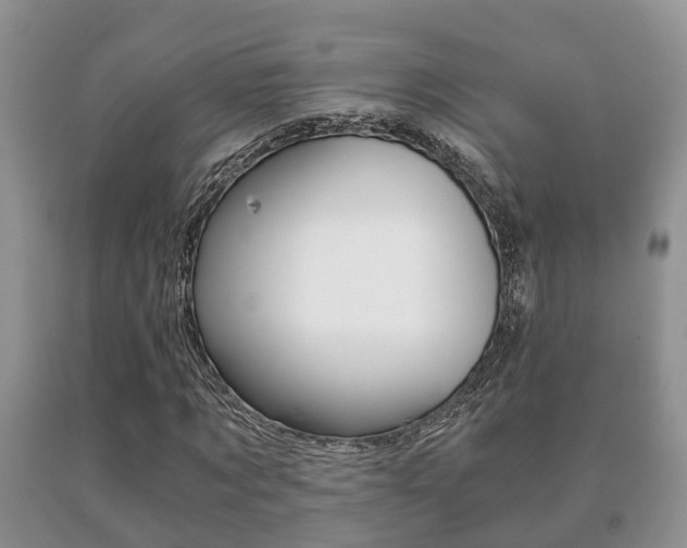 X0000091060869200708060957