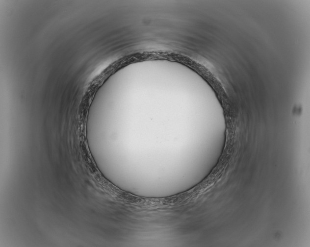 X0000091060871200708060957