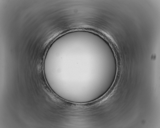 X0000091060873200708060957