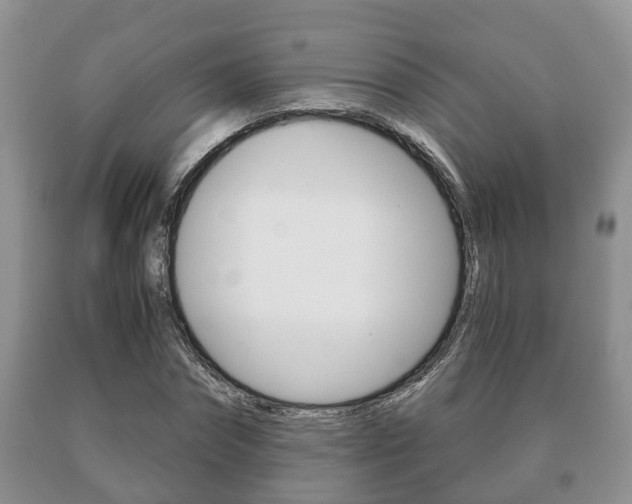 X0000091060874200708060957