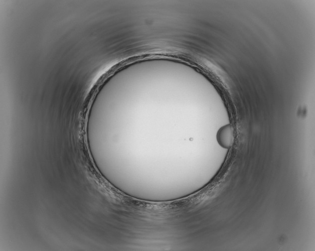 X0000091060875200708060957