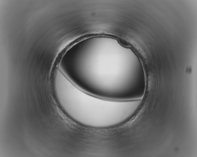 X0000091060876200708060957