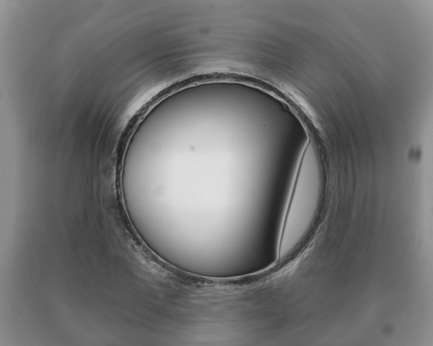 X0000091060877200708060957