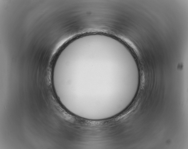 X0000091060878200708060957