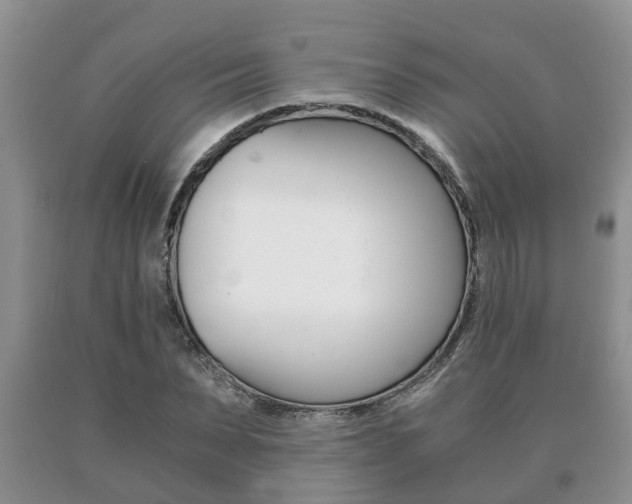 X0000091060879200708060957