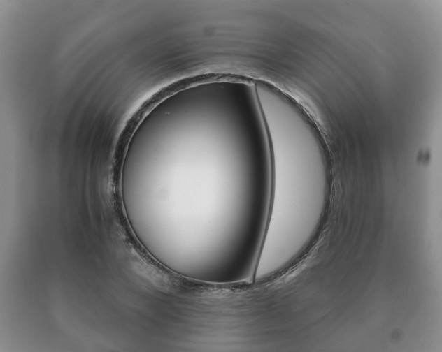 X0000091060880200708060957