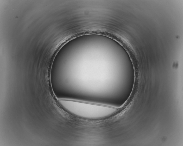X0000091060881200708060957
