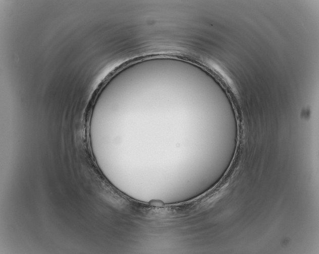 X0000091060883200708060957