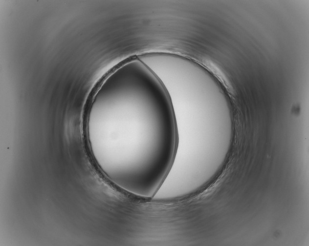 X0000091060884200708060957