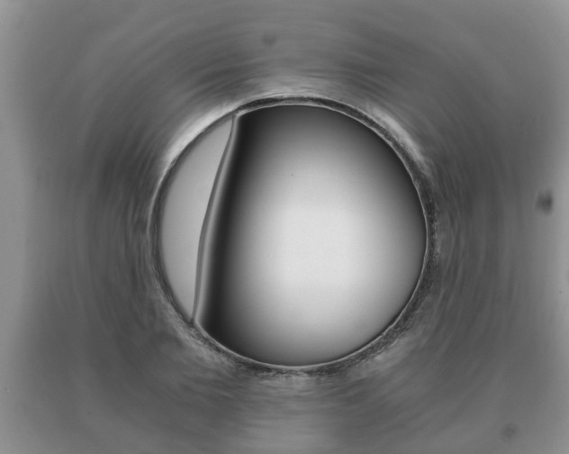 X0000091060885200708060957