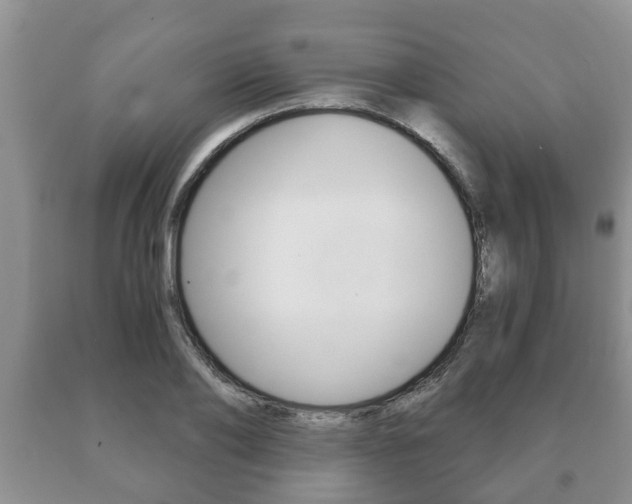 X0000091060886200708060957
