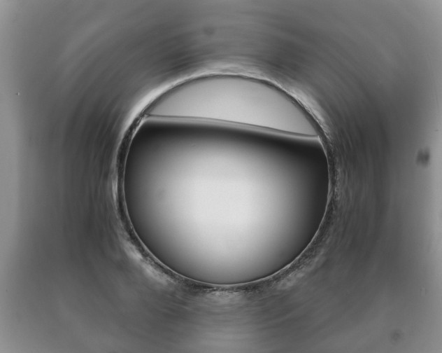 X0000091060888200708060957